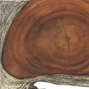 Jungle - Wood Paneled Wall Art (Set of 9)