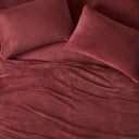 Soloft Plush - 4 Piece King Micro Plush Sheet Set - Burgundy