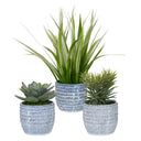Uttermost Puebla set of 3 blue & white ceramic pots with preserved greenery, succulent & grass trio