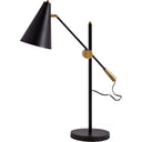 Metal Swing Arm With Black Cone Shade - Black