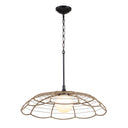 Lakeside - Indoor-Outdoor 1 Light Pendant - Black