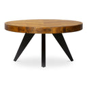 Parq - Oval Coffee Table - Brown - Moe's Home Collection - Coffee Tables - Elite Enclave Home