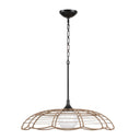 Lakeside - Indoor-Outdoor 1 Light Pendant - Black