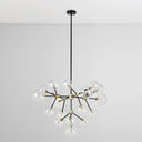 Phoenix - Chandelier - Black/Gold