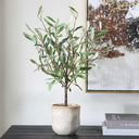 Solea Olive - Accent & Textured Vase - Brown / Green - Uttermost - Plants - Elite Enclave Home