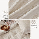 Felicia - Velvet Twin Comforter Set With Throw Pillow - Champagne
