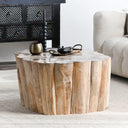 Norwest - Petrified Wood Coffee Table - Natural