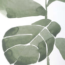 Fiddle Head - Leaf Botanical Prints (Set of 4) - Gold / Green / White - Uttermost - Framed Print Sets- Elite Enclave Home