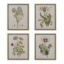 Herbal Botany - Framed Linen Canvas (Set of 4) - Green - Madison Park - Canvas Art Sets - Elite Enclave Home