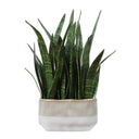 Planters & Vases