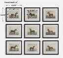 Equine Dynasty - Framed Prints (Set of 9)