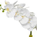 Cami - Orchid With Brass Pot - White
