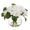 Virtue Dahlia - Accent